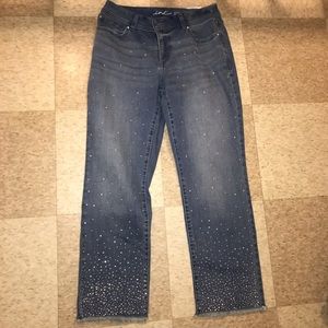 NWT INC denim